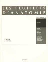 Les feuillets d'anatomie Fascicule 14 - J BRIZON , J CASTAING - MALOINE - 