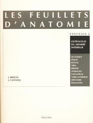 Les feuillets d'anatomie Fascicule 02 - J BRIZON , J CASTAING - MALOINE - 