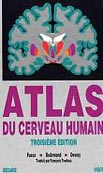 Atlas du cerveau humain - M.FUSCO, SJ.DE ARMOND, MM.DEWEY