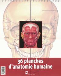 36 planches d'anatomie humaine - COLLECTIF - PRADEL - 