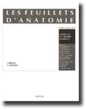 Les feuillets d'anatomie Fascicule 07 - J BRIZON , J CASTAING - MALOINE - 