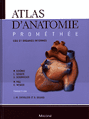 Atlas d'anatomie Promthe 2 Cou et organes internes - M.SCHNKE, E.SCHULTE, U.SCHUMACHER, M.VOLL, K.WESKER