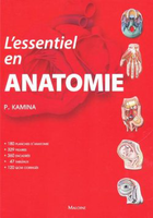 L'essentiel en anatomie - Pierre KAMINA - MALOINE - 