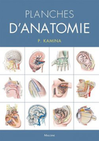 Planches d'anatomie - KAMINA - MALOINE - 