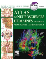 Atlas de neurosciences humaines de Netter - David FELTEN - ELSEVIER / MASSON - 