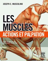 Les Muscles - Joseph E. MUSCOLINO, Annie GOURIET, Michel PILLU - ELSEVIER / MASSON - 
