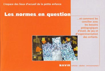 Les normes en questions - Didier HEINTZ - NAVIR - 